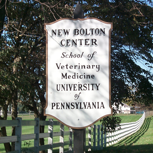 New Bolton Center - Call to the Post Newsletter